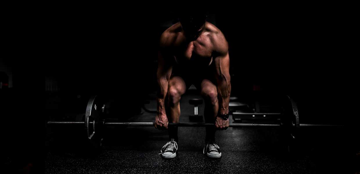 Fitness AI Gym Workout Planner App